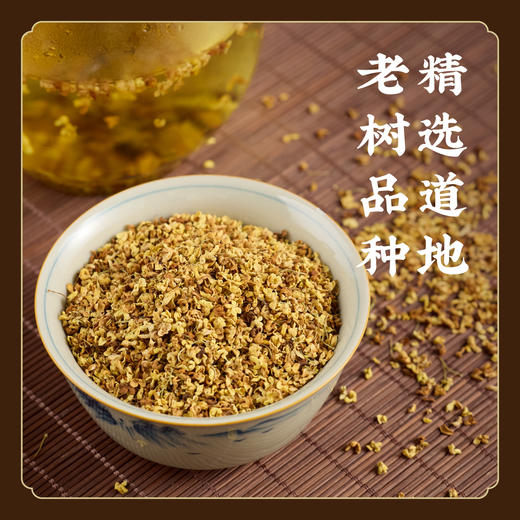 道地老树桂花茶 不熏硫不染色不加香精 S不参与优惠 商品图0