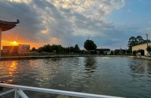 【新都·耘郊农庄】国庆特惠柴火鸡套餐低至128元起！垂钓58元/6h！半小时直达田园乌托邦秋日亲子游，“阿勒泰式”4000㎡草坪、垂钓露营、儿童乐园·· 商品图4