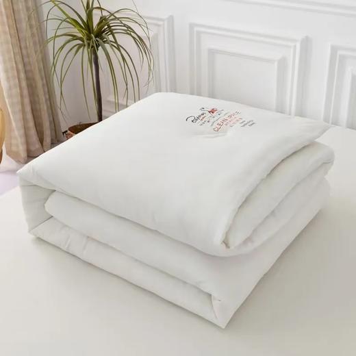 北极绒大豆纤维被 赶紧抢，巨亏福利被子北极绒正品大豆纤维被，暖“芯” ︎更暖心，一款越用越喜欢的被芯 商品图6