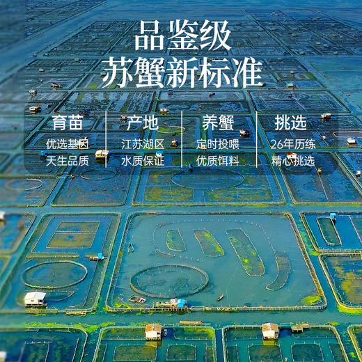 叮咚蟹庄688型【分仓直发，72小时发货，周末节假日不发货】 商品图2