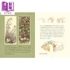 预售 【中商原版】探访野蔷薇村 A Visit To Brambly Hedge 英文原版 儿童文学绘本 插图故事 精装 7岁以上 小初文学 Jill Barklem 商品缩略图3