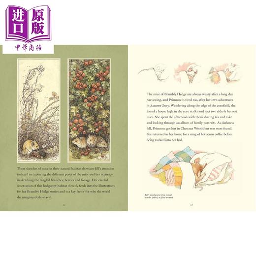 预售 【中商原版】探访野蔷薇村 A Visit To Brambly Hedge 英文原版 儿童文学绘本 插图故事 精装 7岁以上 小初文学 Jill Barklem 商品图3