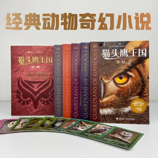 猫头鹰王国(第1辑)(1-5)（WX） 商品图5