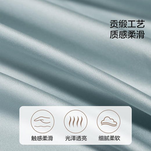 水星集团百丽丝家纺100S长绒棉贡缎被套yc0302001 商品图2