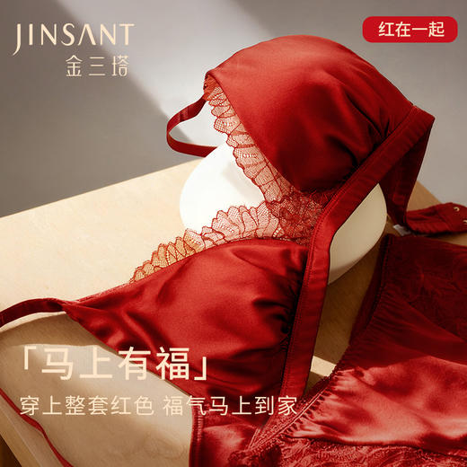 一起红】金三塔桑蚕丝文胸内裤套装女本命年新年婚庆红色舒适内衣（私密物品不支持退换货）NSFAC313+NZFAC213+NZFFA302+NZSSD203 商品图0