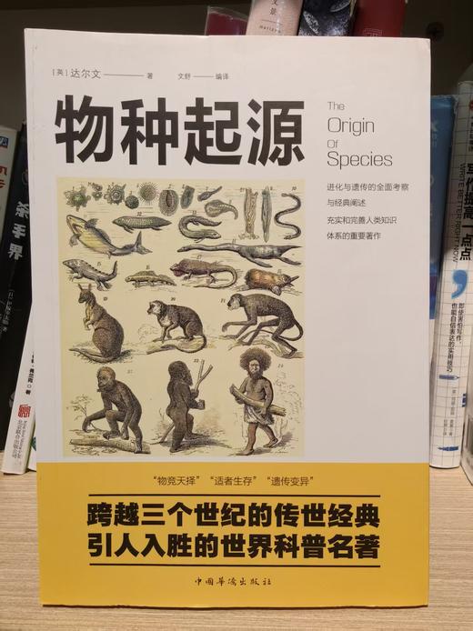 【独家旧书3折】物种起源 二手书籍（新疆 西藏 甘肃 青海 海南不发货）bj 商品图0