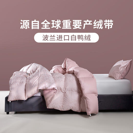 多喜爱 波兰进口奢绒90白鸭绒冬被-繁花粉意/魅野风尚hl【90%绒子含量】【1000+洁净度】【防钻绒面料】3D航空仓设计 轻盈蓬松 PU手提包 商品图4