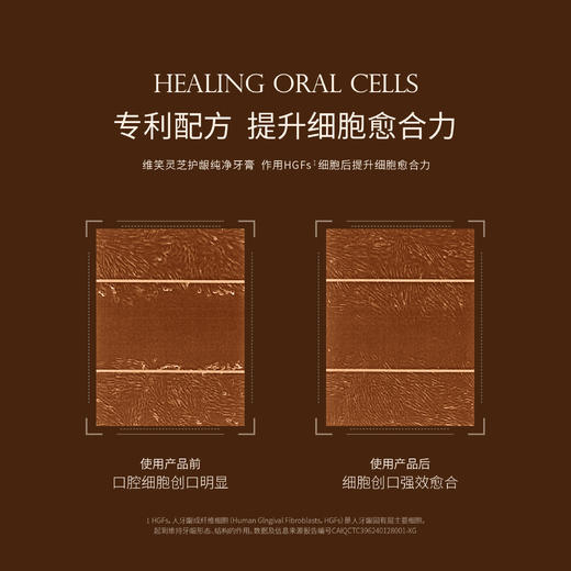 品牌直发 GraceSmile 维笑 灵芝护龈纯净牙膏 120g 静奢森香香型 / 雅愈茶芳香型 商品图2