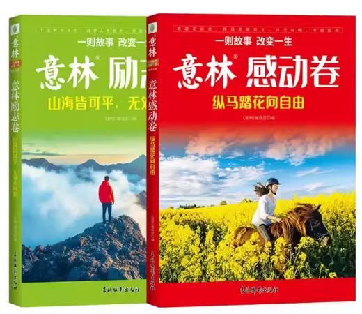 【意林系列】百万粉丝票选历年美文集萃-意林20周年纪念书全4册-感动卷+励志卷-历年高票好文全4册 商品图1