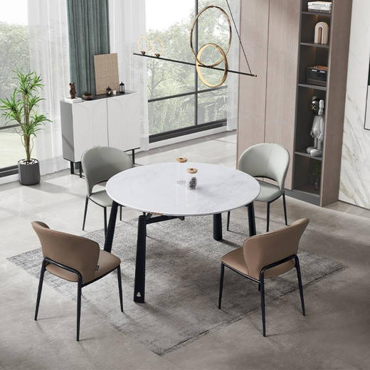 餐椅/WA-CY-9568 商品图0