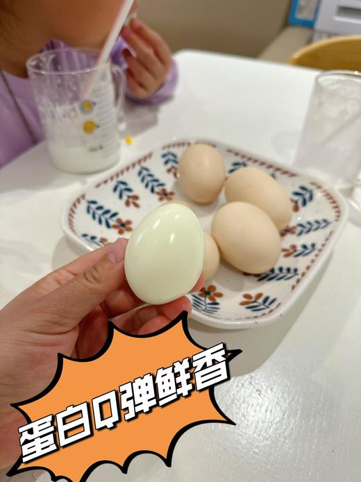 每月一囤！【预售】【散养土鸡蛋】纯粮慢养+散放觅食，拒绝激素、抗生素，拒绝高密度笼养，拒绝速成鸡，生态间小群散养。 商品图10