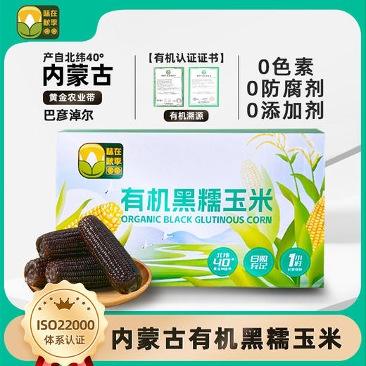 易中易有机糯玉米 | 轻食新选择.享自然本味 商品图1