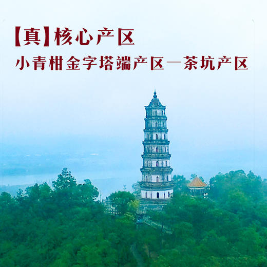 八马茶业 | 真芯·冰岛普洱茶(熟茶)、新会柑皮小青柑250g 商品图4