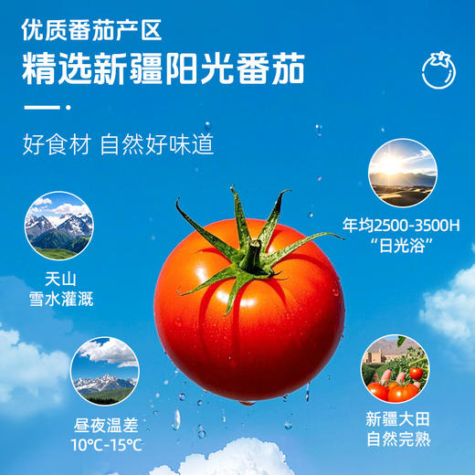 【风味醇正】草牧里 番茄红烩牛肉酱 40g/袋 饱满肉粒吃得到 商品图3