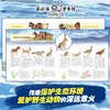 学龄前-2年级「中国旗舰物种」｜大象+雪豹+东北虎+熊猫+野马 商品缩略图4