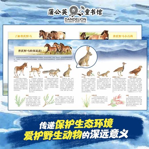 学龄前-2年级「中国旗舰物种」｜大象+雪豹+东北虎+熊猫+野马 商品图4
