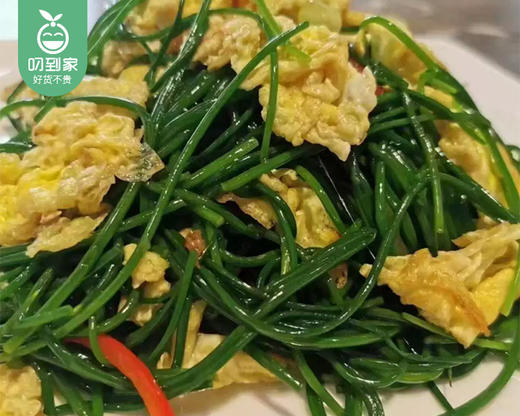 【叼鲜蔬】甘肃高原新鲜沙葱/1份（约200g） 商品图3