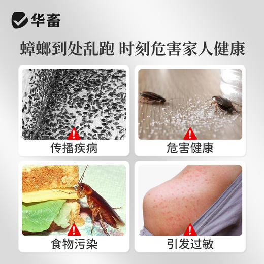 华畜 防治蟑螂 杀蟑胶饵 引诱性强 连环灭蟑 居家适用 商品图1