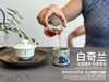 【稀缺名丛】正岩名丛《白奇兰》，十年来才第一次喝到的岩茶顶流，稠如醴酪，一下子就醉了 商品缩略图8