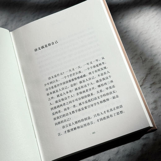 语文教育三问 大夏书系 知道 王尚文语文教育思想 商品图9