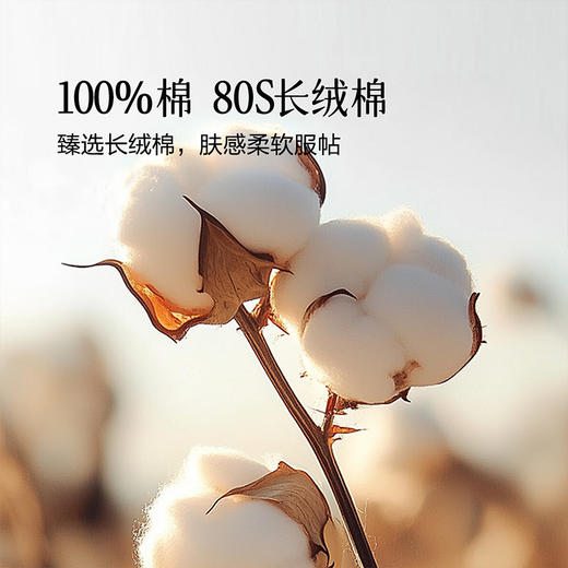 百丽丝家纺80S轻奢长绒棉简约贡缎四件套 商品图1