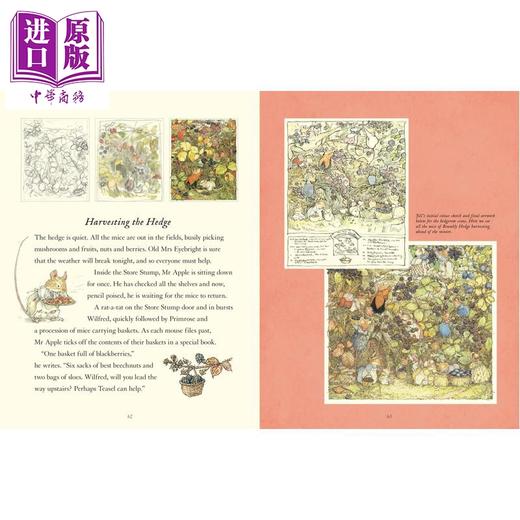 预售 【中商原版】探访野蔷薇村 A Visit To Brambly Hedge 英文原版 儿童文学绘本 插图故事 精装 7岁以上 小初文学 Jill Barklem 商品图2