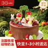 天秤座 ∙ 萌兔秘境 ∙巧克力鲜果脆脆蛋糕，可选1.5/2.5/6磅  | 36 CAKE 商品缩略图0