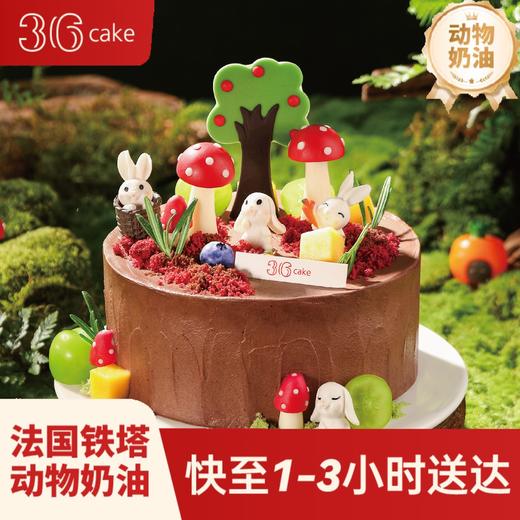 天秤座 ∙ 萌兔秘境 ∙巧克力鲜果脆脆蛋糕，可选1.5/2.5/6磅  | 36 CAKE 商品图0