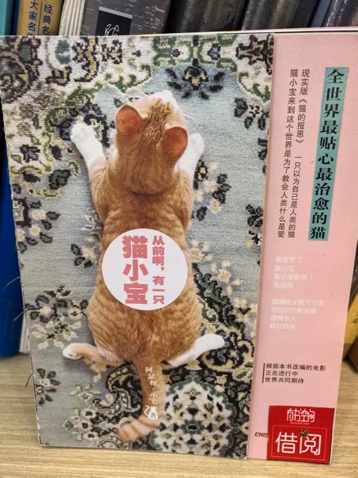 【独家旧书3折】从前有一只猫小宝 二手书籍（新疆 西藏 甘肃 青海 海南不发货）bj 商品图0