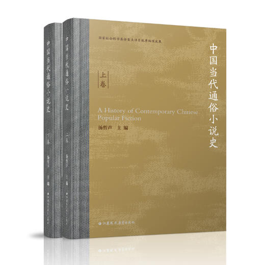 中国当代通俗小说史上下卷2本 本书对通俗小说作家作品文学现象进行了价值评估 主要评估对象为社会小说武侠小说公安法制小说等 商品图1