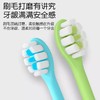 茗诗洁萌趣小象2支装儿童牙刷-蓝色-绿色（2507104-2507105） 商品缩略图2