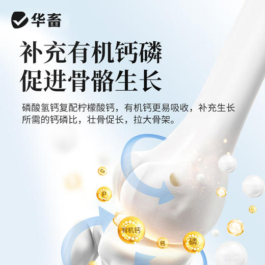 华畜钙磷微量全能宝有机的 好吸收增加蛋壳厚拉大骨架1kg华畜 商品图2