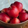 企鹅市集|新疆伊犁 香妃海棠果3斤/4斤装 酸甜浓郁 风味集中饱满 商品缩略图9