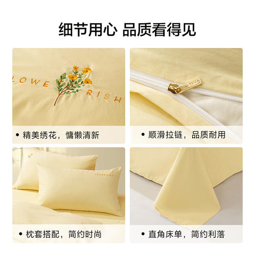 水星  百丽丝家纺套件四件套套件水洗棉刺绣全棉 yb1230001 商品图4