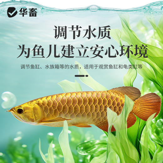 华畜鱼康宝调节水质水族鱼缸用烂尾烂鳃蒙眼水霉观赏鱼调理健康 商品图2