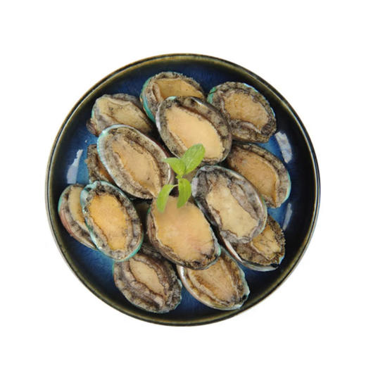 淘鲜拾光 新鲜活冻大号鲍鱼500g（10头）*2 商品图0