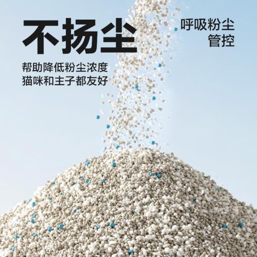 原矿植物木薯猫砂，物理防粘+化学防臭 商品图4