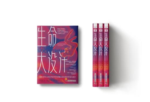 生命大设计组合装（三册） 商品图5