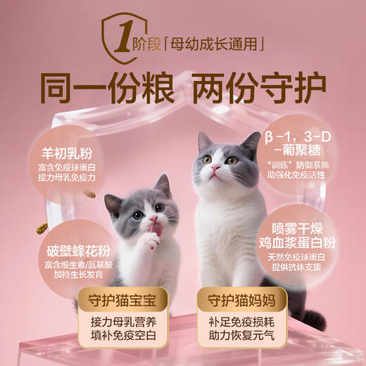 全价幼猫奶糕猫粮幼年期猫粮 商品图4