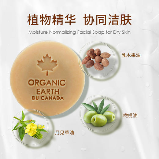 乳木果皂+乳木果面霜+乳木果身体霜 商品图1