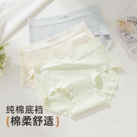 雅黛俪女士内裤新疆长绒棉纯棉女生三角裤无痕立体裁剪亲肤透气