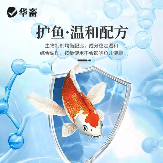华畜鱼康宝调节水质水族鱼缸用烂尾烂鳃蒙眼水霉观赏鱼调理健康 商品图4