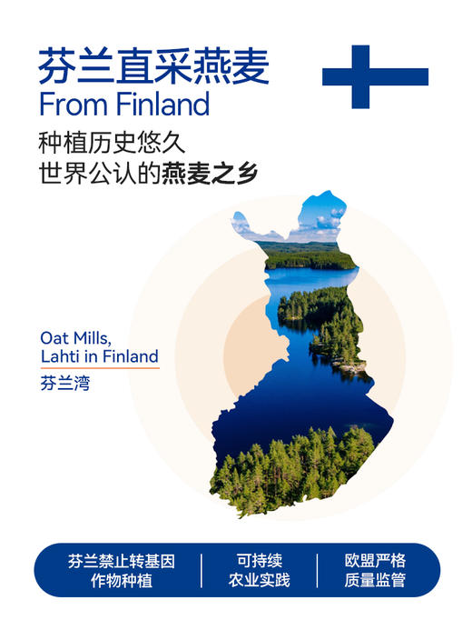 膳贞 燕麦植物奶燕麦饮蛋白质营养粉芬兰燕麦代餐饱腹代餐粉早餐 商品图2