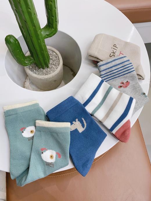 直发【五双装】 终于又等来了斑比的秋冬袜子，闭眼盲拍 商品图3