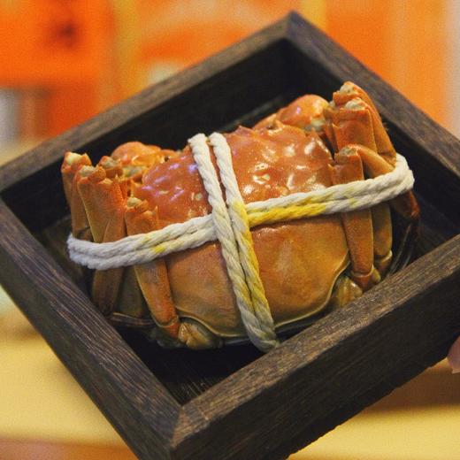 【阳澄湖大闸蟹】有溯源防伪戒指，每只身份均可查验，每一只螃蟹的品质都超好，凌晨捕捞，精细挑选，分装扎蟹，当天打包发货，新鲜直达，层层把控 商品图3