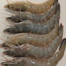 【超市】冰鲜虾500g