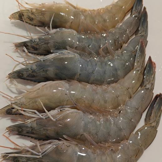 【超市】冰鲜虾500g 商品图0