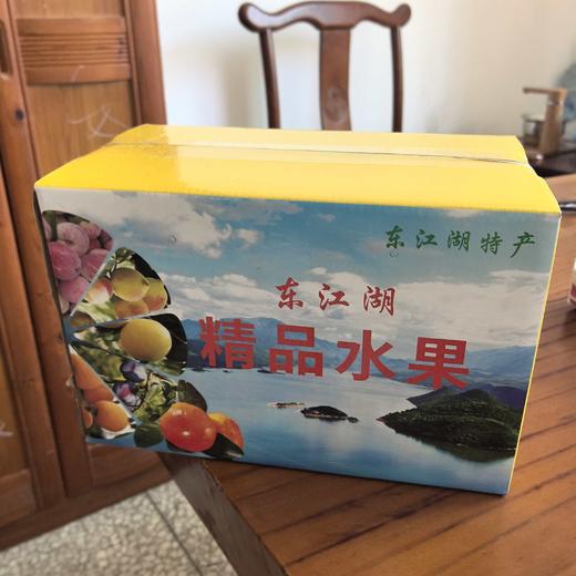 东江湖蜜桔 商品图3