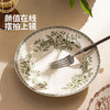 摩登主妇釉下彩盘子家用菜盘碟子高级感漂亮餐具西餐盘甜品早餐盘 商品缩略图2