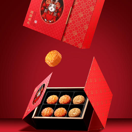 稻香村-团圆佳礼600g 商品图4